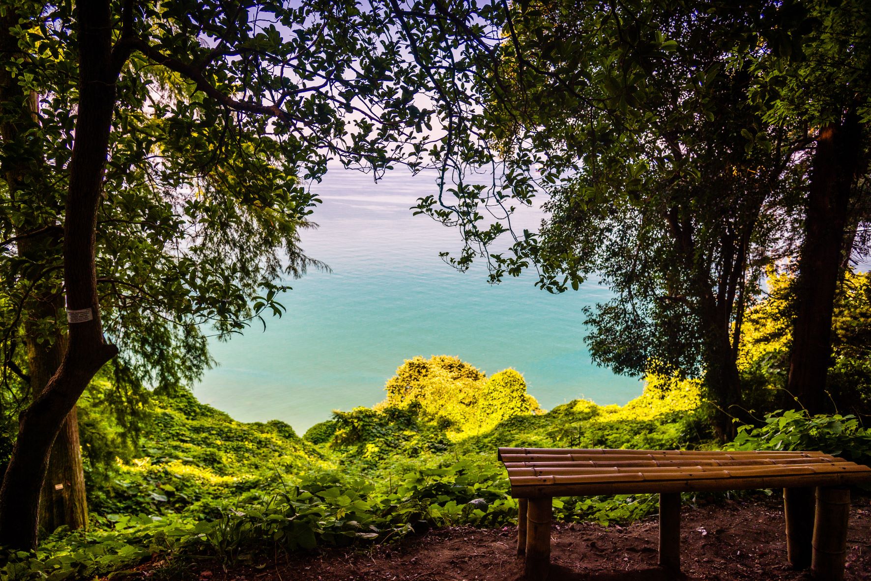 Batumi Botanical Garden