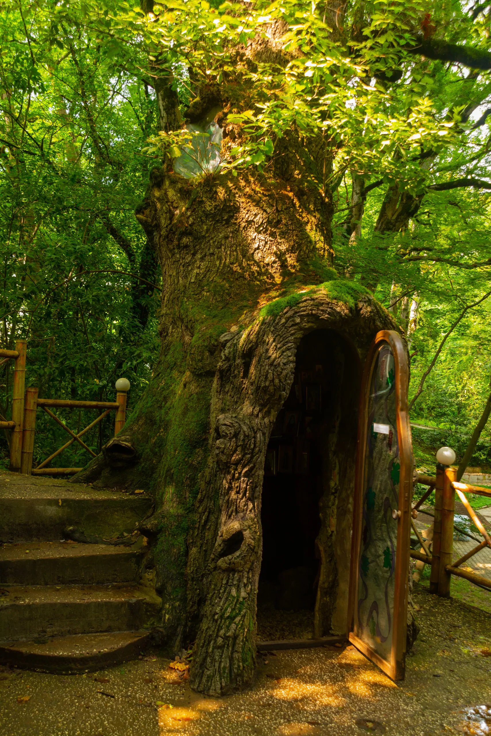 a tiny chapel tucked inside the trunk of a 400-year-old oak tree in Kutaisi Botanical Garden