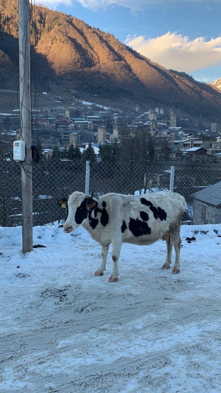 Mestia Svaneti